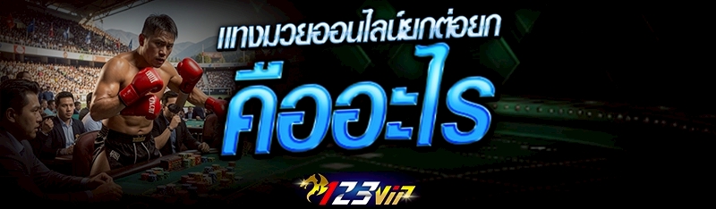 แทงมวยออนไลน์ยกต่อยก คืออะไร?